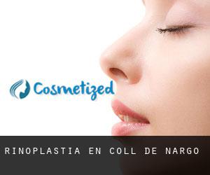 Rinoplastia en Coll de Nargó