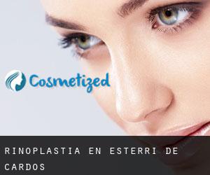 Rinoplastia en Esterri de Cardós