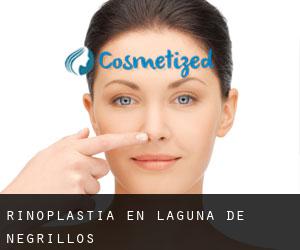 Rinoplastia en Laguna de Negrillos