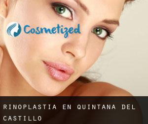 Rinoplastia en Quintana del Castillo