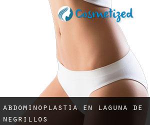 Abdominoplastia en Laguna de Negrillos