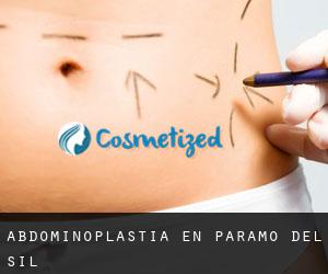 Abdominoplastia en Páramo del Sil