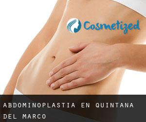 Abdominoplastia en Quintana del Marco